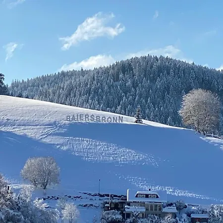 Hotel Hirsch