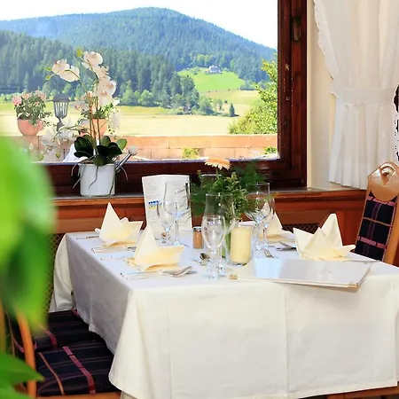 Hotel Hotel Hirsch 3*