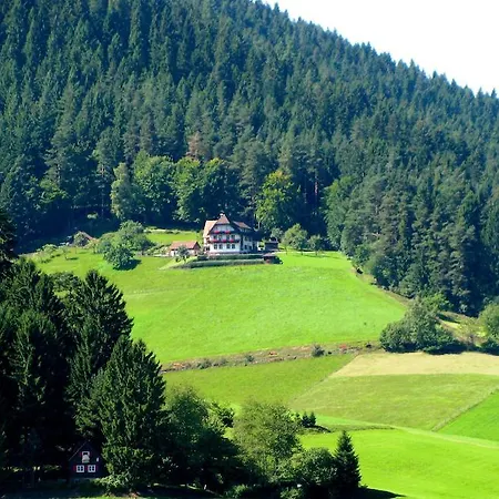 Hotel Hotel Hirsch 3*