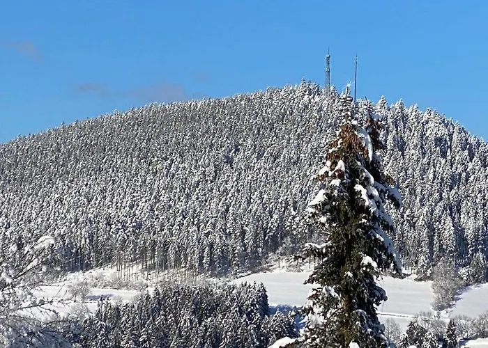 Hotel Hirsch Szálloda