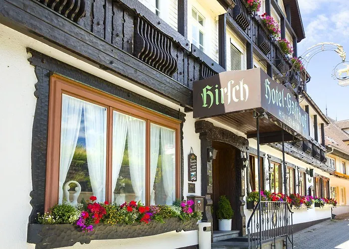 Hotel Hirsch